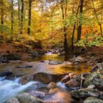 A3trip Travel Blog Page